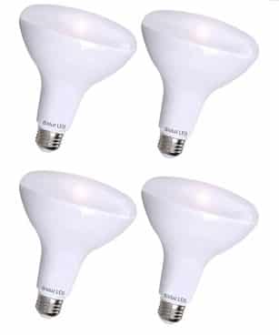 LED Outdoor FloodLight Bulb