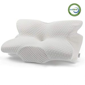 Best Neck Support Pillows