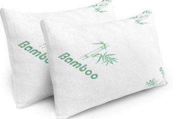 Top 10 Best Bamboo Pillows By Consumer Guide Reports Of 2023