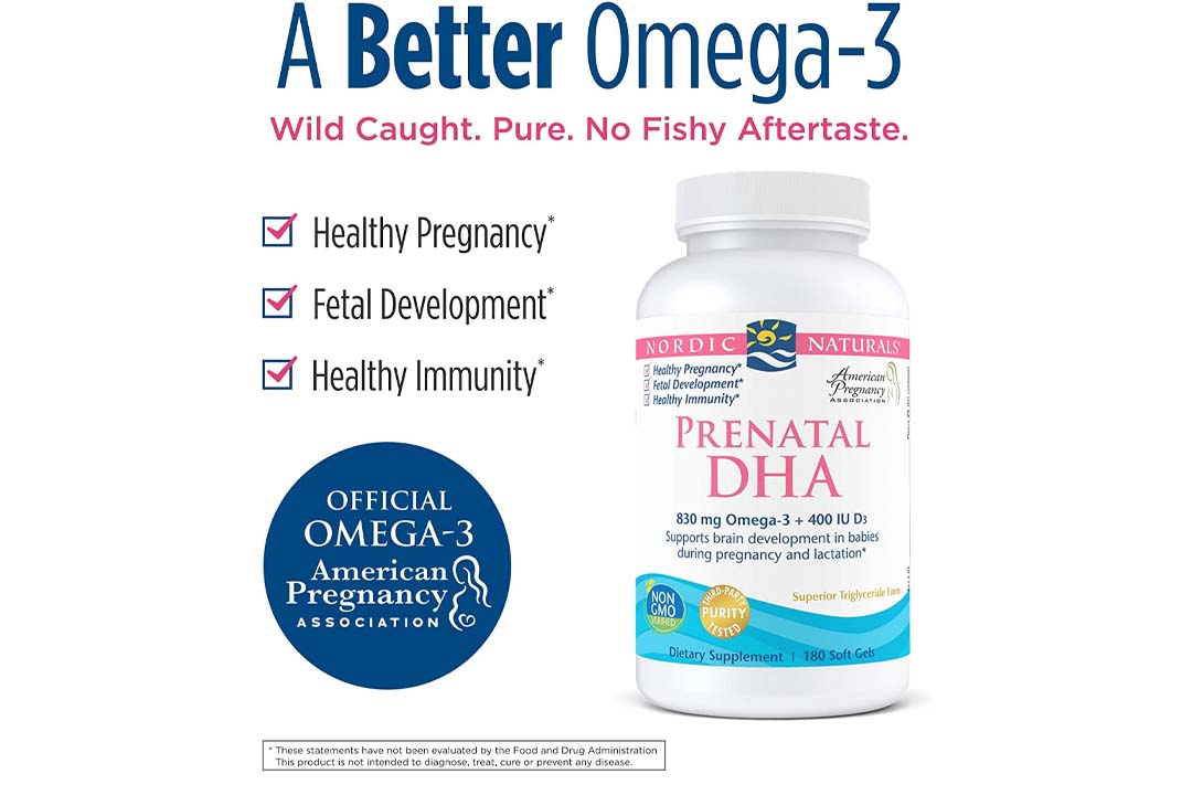Top 10 Best Prenatal Vitamins with DHA of (2023) Review